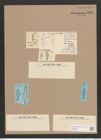 Gomphonema capitatum Ehr. (de-Toni-Nr.: Genus 37, Species 1728) Zeichnungen Sammlung Grunow Nr. 3369 (NHMW-BOT-W0370886)